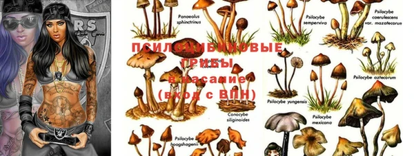 кокс Волосово