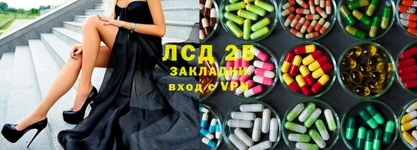 СК Волоколамск