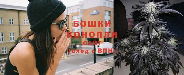 СК Волоколамск