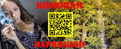 прущие грибы Старая Купавна
