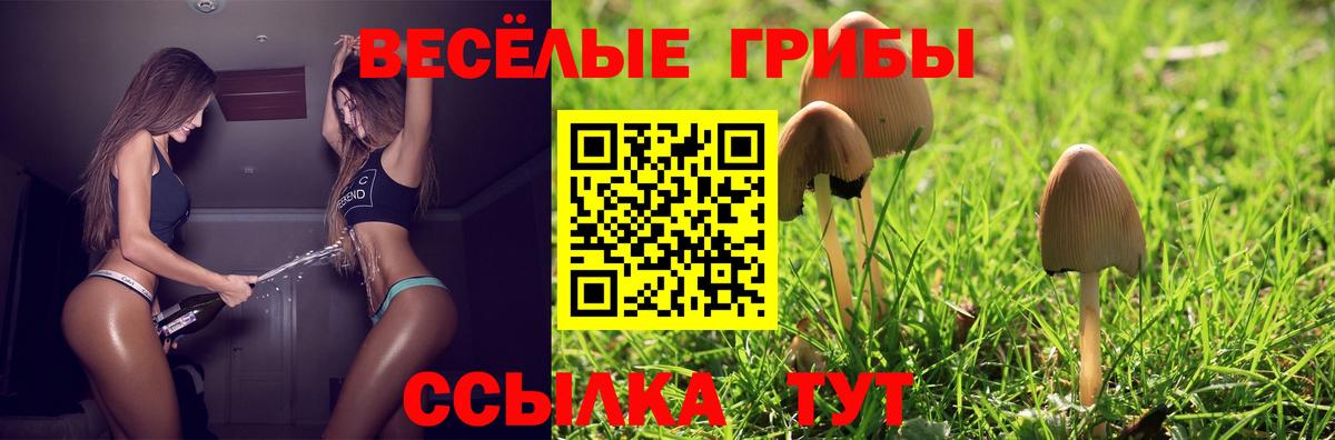 Снежинск  Галлюциногенные грибы прущие грибы  Галлюциногенные грибы GOLDEN TEACHER  Вход с VPN 